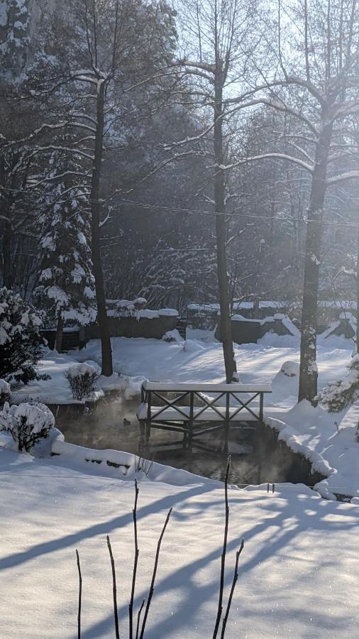 Agroturystyka Spa Zelków Exterior foto